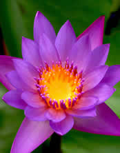 Iglesia Serenidad y Paz